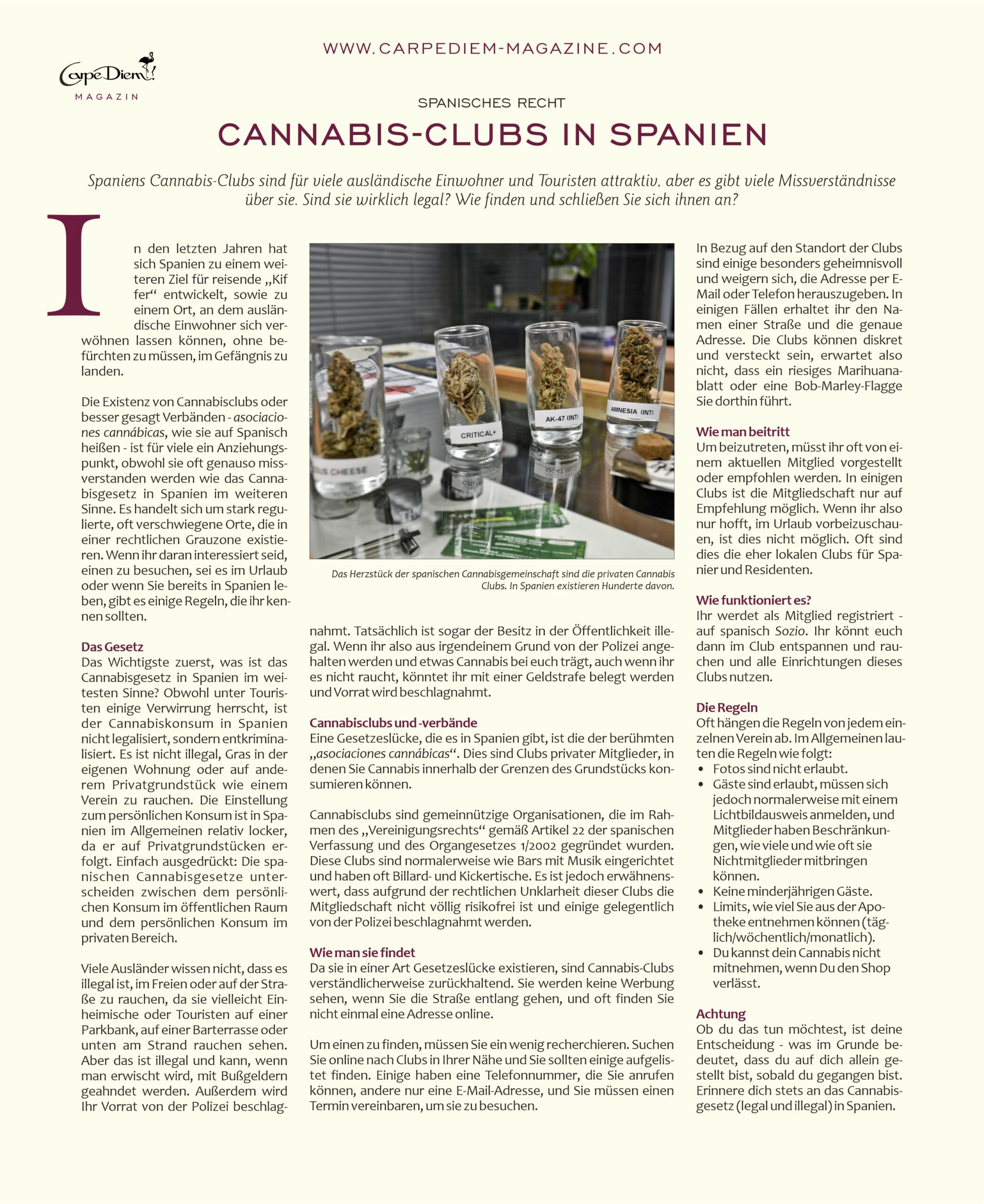 Read more about the article Cannabis-Clubs in Spanien