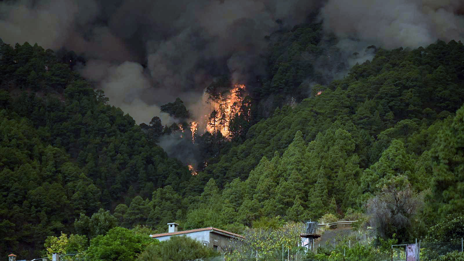 Verwunderlich Teneriffa Waldbrnde Aktuell Fotos